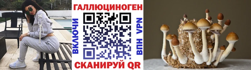 закладки Керчь Псилоцибиновые грибы Psilocybine cubensis